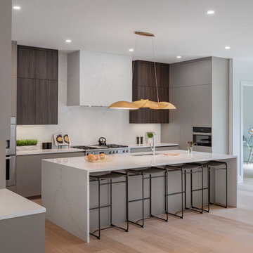 New Contemporary Home & Kitchen in Newton, Mass.