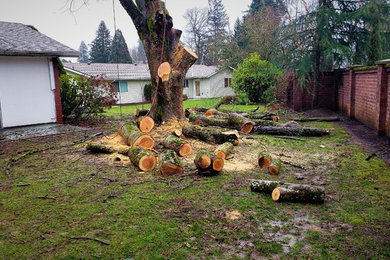 This is an example of a traditional full sun front yard landscaping in Portland.