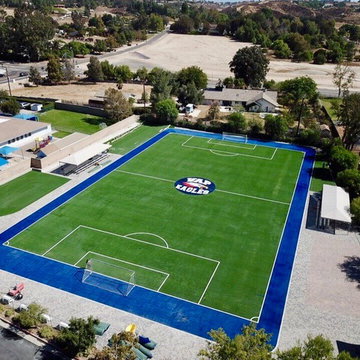 Custom Sport fields