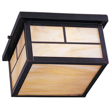 Coldwater 2-Light Outdoor Ceiling Mount, Burnished With Honey Glass/Shade