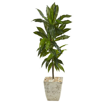 4' Dracaena Artificial Plant, Country White Planter, Real Touch