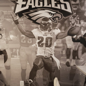 Philadelphia Eagles Lower Level Lounge