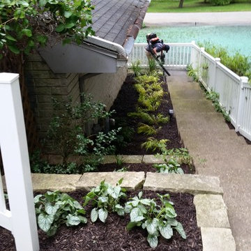Long Beach Regrade and Contour Lawn