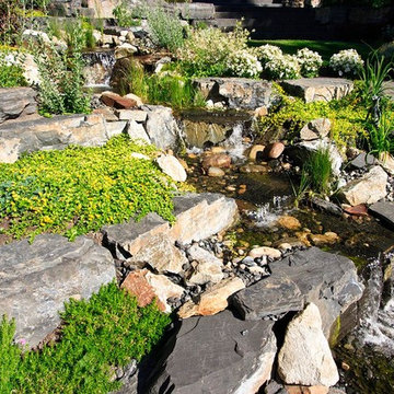 Mount Royal Feature