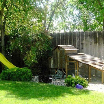Chicken Coops