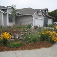 Landscape ideas