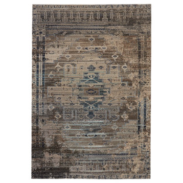 Cicero Indoor/Outdoor Medallion Area Rug, Taupe and Blue, 2'x3'