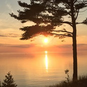 Denise Ilitch II's photo