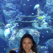 Pearl Foo's photo