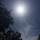 Catherine MacNeill's photo
