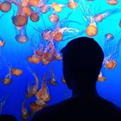 Dustin VanPelt's photo
