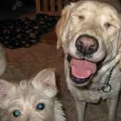 Jill Dinsmore's photo