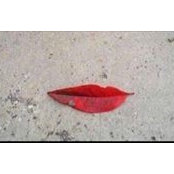 Mateo Gato's photo