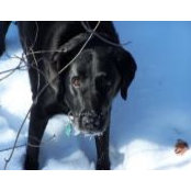 Michelle Bowman's photo