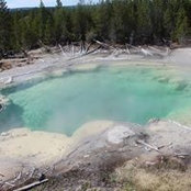 Jennifer Simoneau's photo