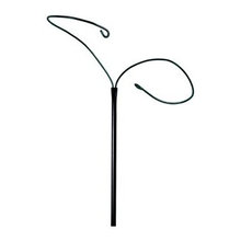 Landscape Ideas