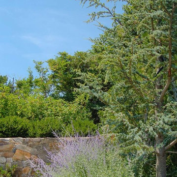 Cape Cod Landscape Design, Chatham MA