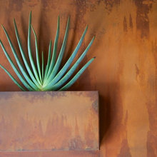 Indoor Decor