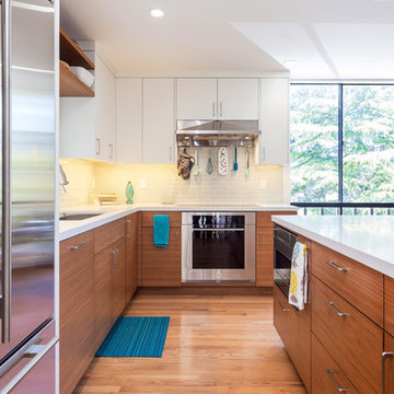 San Mateo Modern Kitchen
