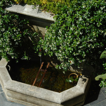 Provençal Garden