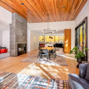 Silver Residence
