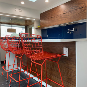 IKEA Kitchen gives Midcentury home some Modern appeal