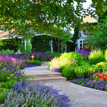 Flower Gardens