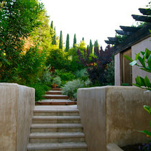 Existing Canon Landscape
