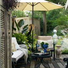 My garden in Hingham, Ma.