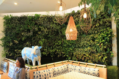 Trendy home design photo in San Diego