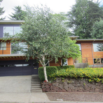 Purple house