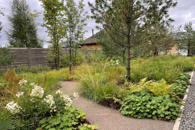 Diseño de jardín actual de tamaño medio en verano en patio con camino de entrada, exposición parcial al sol, gravilla y todos los materiales de valla
