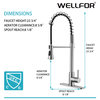 Wellfor Stainless Steel Pull Down Kitchen Faucet With Deck Plate, Brushed Nickel