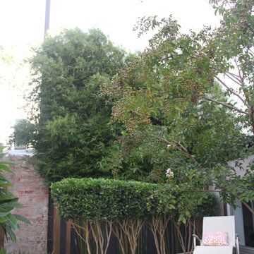 inner west entertainer