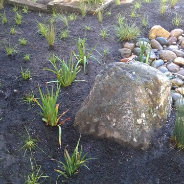 River Cobble Stream