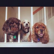 Wendy Shindledecker's photo