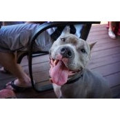 Adam Wilkens's photo