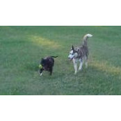 Kimberly Thompson-Soucie's photo