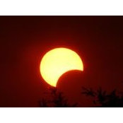 Patrick Lehmann's photo