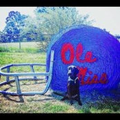 Shelia Lewis's photo