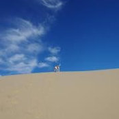 Xinran Huang's photo