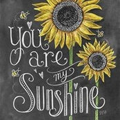 Kimberly Wingate-Brown's photo