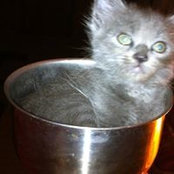 Laurie Gaspard's photo
