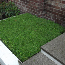 terrazo