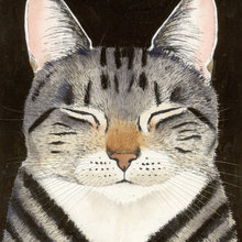 CATS