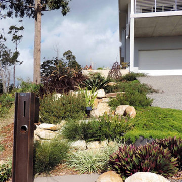 Contemporary Australian Native Garden