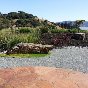 Zen Garden
