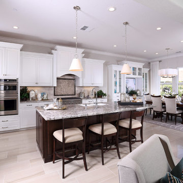 Celebration Model Homes