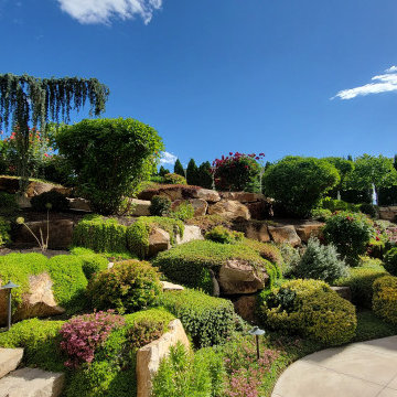 Luxe Landscape Maintenance