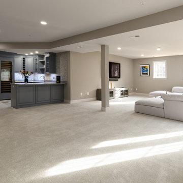 Basement Remodel